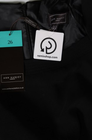 Šaty  Ann Harvey, Veľkosť 3XL, Farba Čierna, Cena  29,49 €