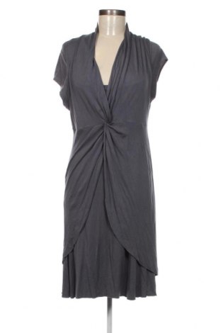 Kleid Anna Scott, Größe L, Farbe Grau, Preis 8,90 €