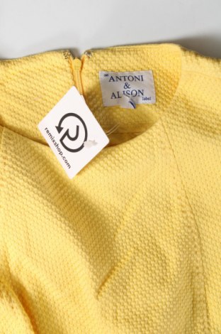 Kleid Antoni&Alison, Größe M, Farbe Gelb, Preis € 105,77