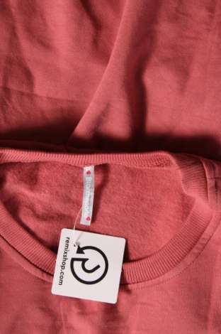 Kleid Blancheporte, Größe L, Farbe Rosa, Preis € 8,27