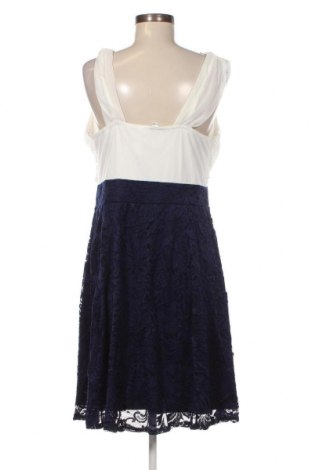 Kleid Body Flirt, Größe XL, Farbe Mehrfarbig, Preis 34,31 €