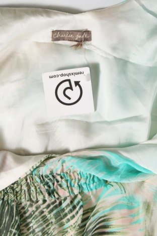 Šaty  Charlie Jade, Veľkosť M, Farba Viacfarebná, Cena  10,89 €