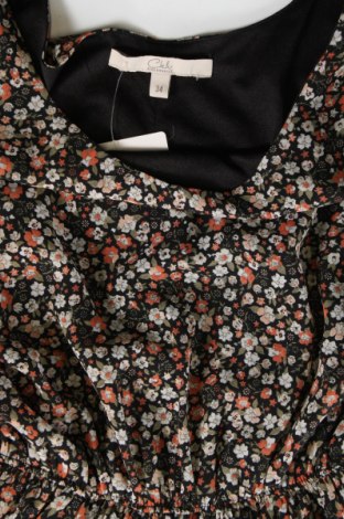 Kleid Clockhouse, Größe XS, Farbe Mehrfarbig, Preis 14,83 €