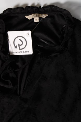 Kleid Clockhouse, Größe S, Farbe Schwarz, Preis 12,11 €