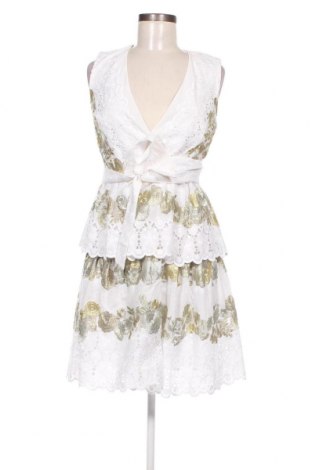 Kleid Diane Von Furstenberg, Größe S, Farbe Mehrfarbig, Preis € 458,25