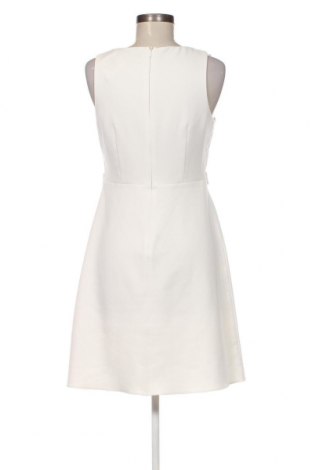 Φόρεμα Dorothy Perkins, Μέγεθος M, Χρώμα Λευκό, Τιμή 16,70 €