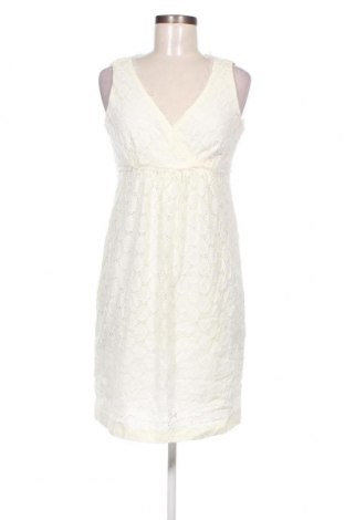 Φόρεμα Dressbarn, Μέγεθος XS, Χρώμα Εκρού, Τιμή 8,07 €