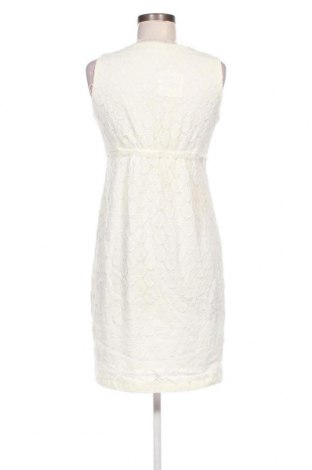 Φόρεμα Dressbarn, Μέγεθος XS, Χρώμα Εκρού, Τιμή 4,66 €