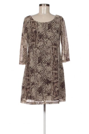 Φόρεμα Limited Collection, Μέγεθος M, Χρώμα Πολύχρωμο, Τιμή 27,68 €