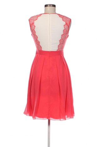 Φόρεμα Little Mistress, Μέγεθος S, Χρώμα Πολύχρωμο, Τιμή 31,82 €