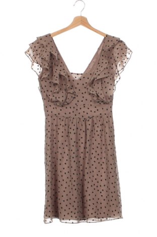 Kleid Oasis, Größe XS, Farbe Beige, Preis 13,99 €