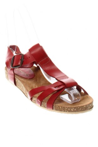 Sandalen, Größe 41, Farbe Rot, Preis € 24,55