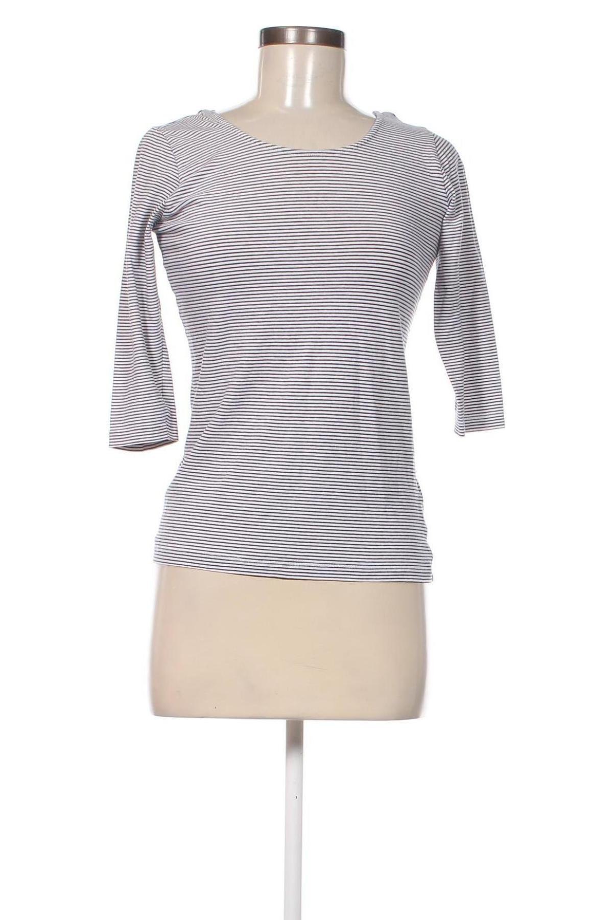 Damen Shirt Chicoree, Größe M, Farbe Mehrfarbig, Preis € 3,40