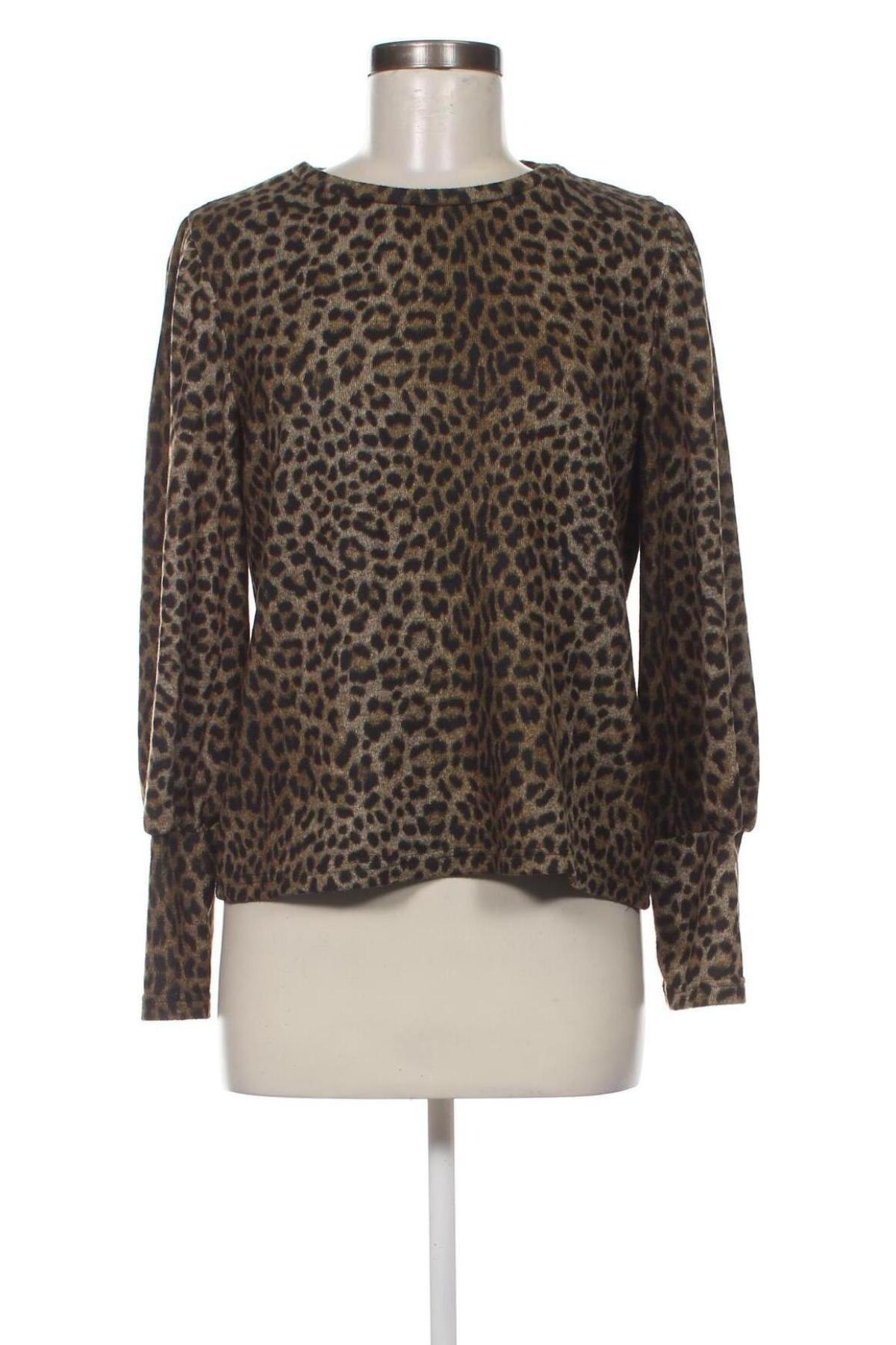 Γυναικεία μπλούζα Coop, Μέγεθος L, Χρώμα Πολύχρωμο, Τιμή 5,41 €