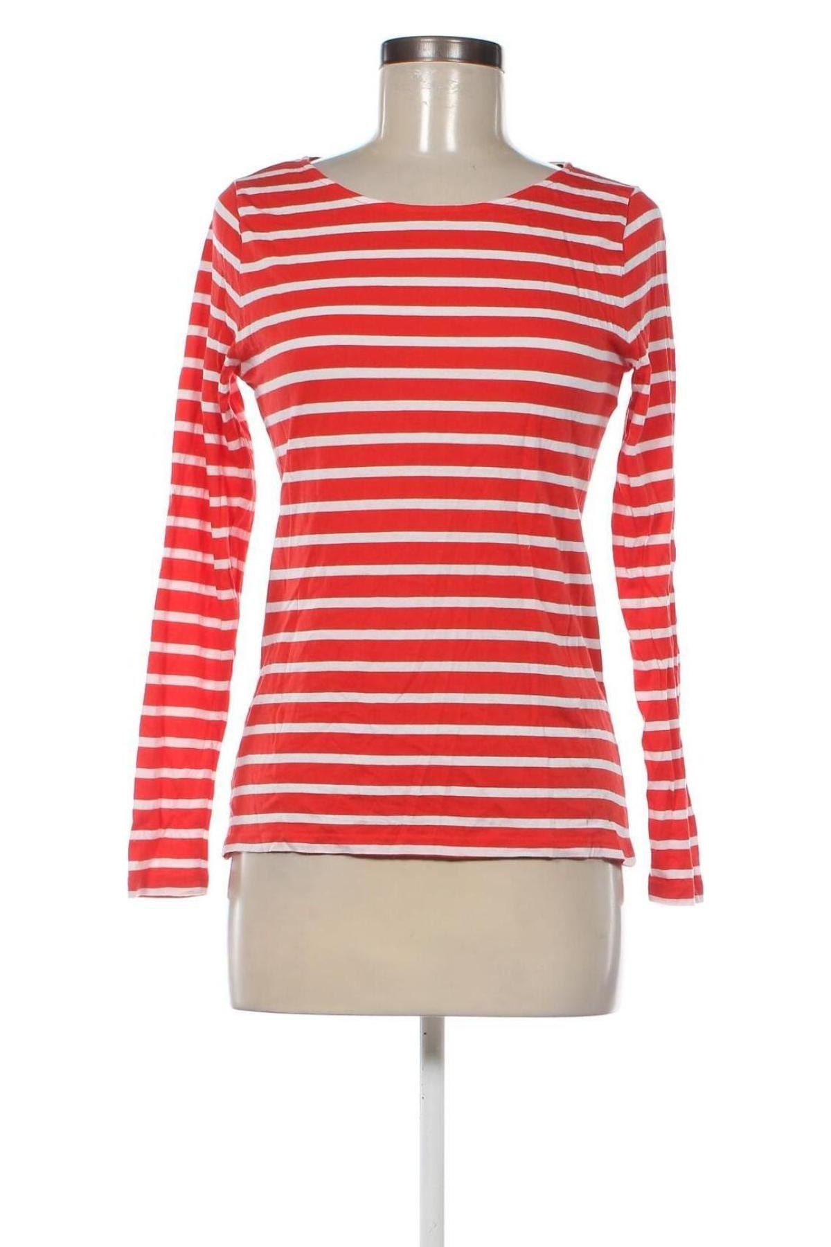 Γυναικεία μπλούζα More & More, Μέγεθος M, Χρώμα Κόκκινο, Τιμή 16,03 €