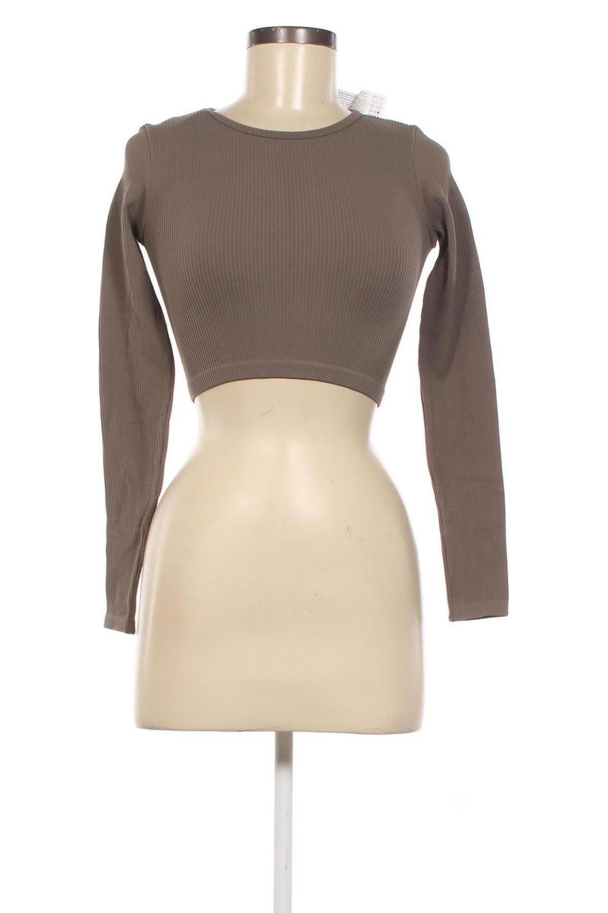 Γυναικεία μπλούζα Pull&Bear, Μέγεθος XS, Χρώμα Καφέ, Τιμή 5,43 €