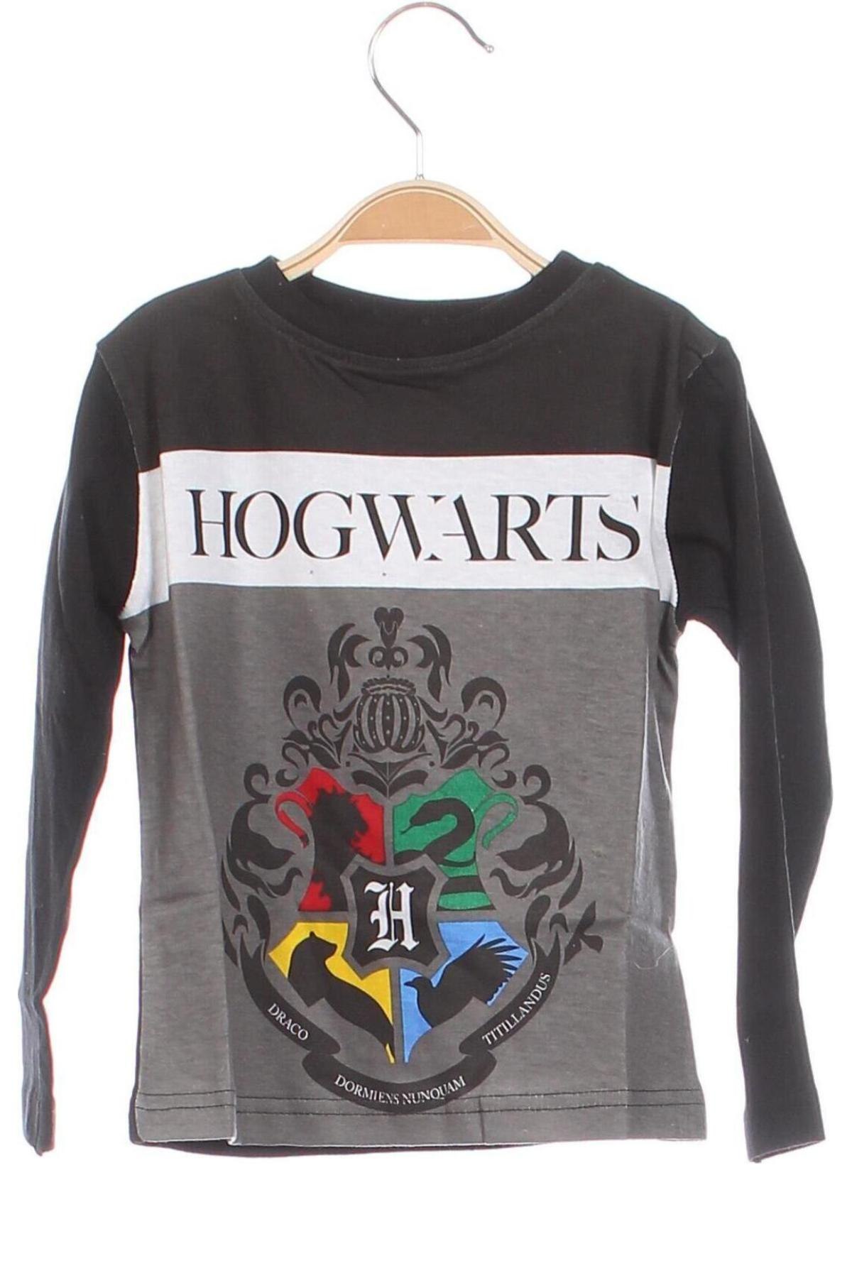 Детска блуза Harry Potter, Размер 18-24m/ 86-98 см, Цвят Многоцветен, Цена 16,45 лв.