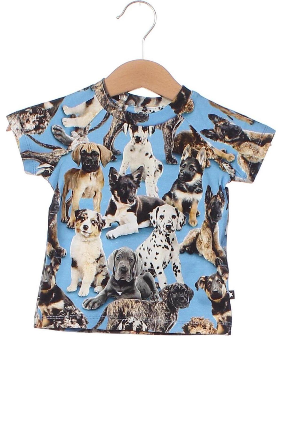 Kinder Shirt Molo, Größe 2-3m/ 56-62 cm, Farbe Mehrfarbig, Preis 18,93 €