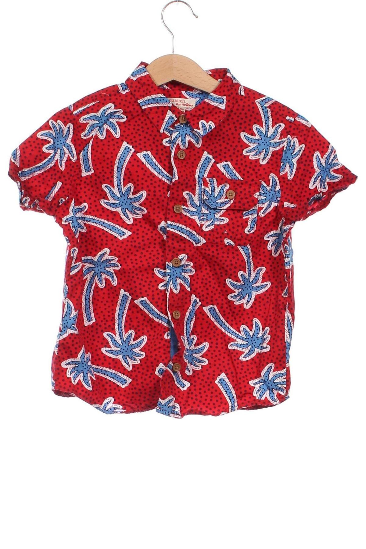 Παιδικό πουκάμισο Du Pareil Au Meme, Μέγεθος 5-6y/ 116-122 εκ., Χρώμα Πολύχρωμο, Τιμή 6,00 €