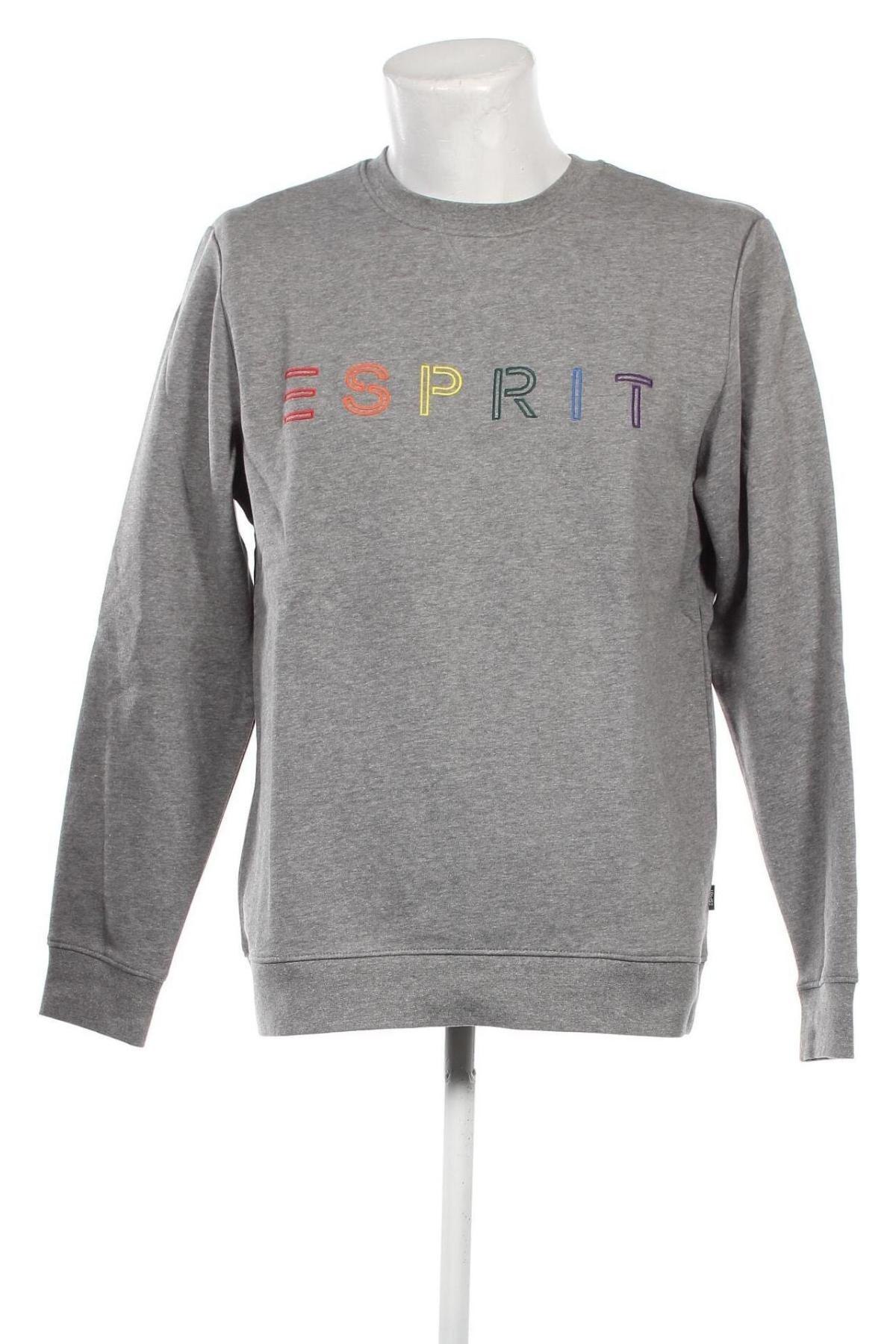 Herren Shirt Esprit, Größe M, Farbe Grau, Preis 31,96 €