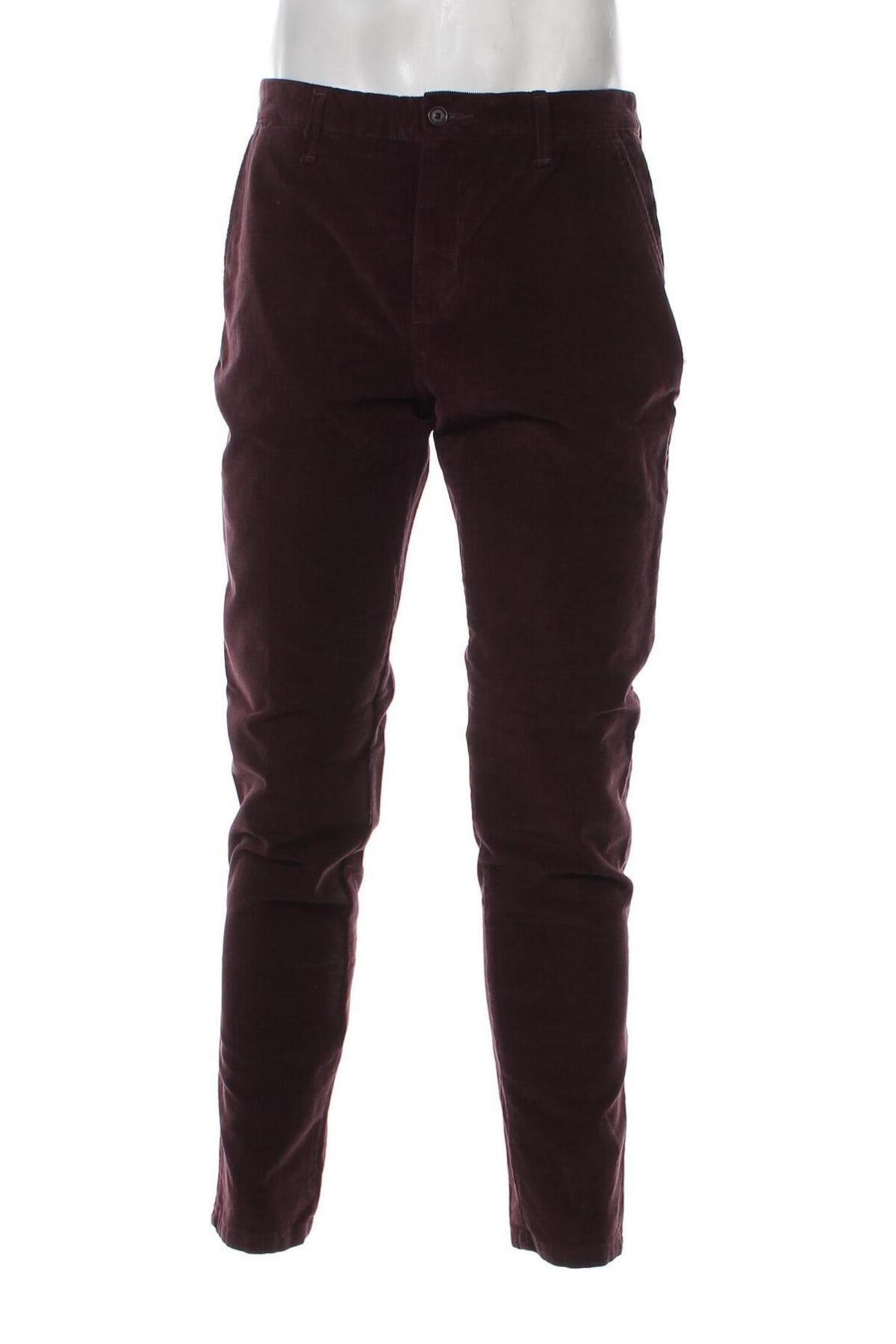 Herren Cordhose Liu Jo, Größe M, Farbe Lila, Preis 15,77 €