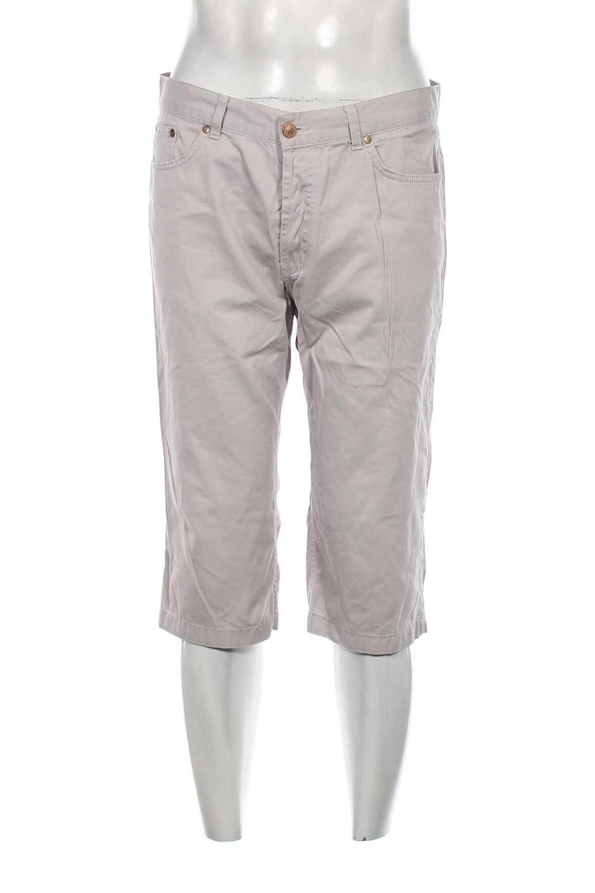 Herren Shorts, Größe L, Farbe Grau, Preis € 12,79