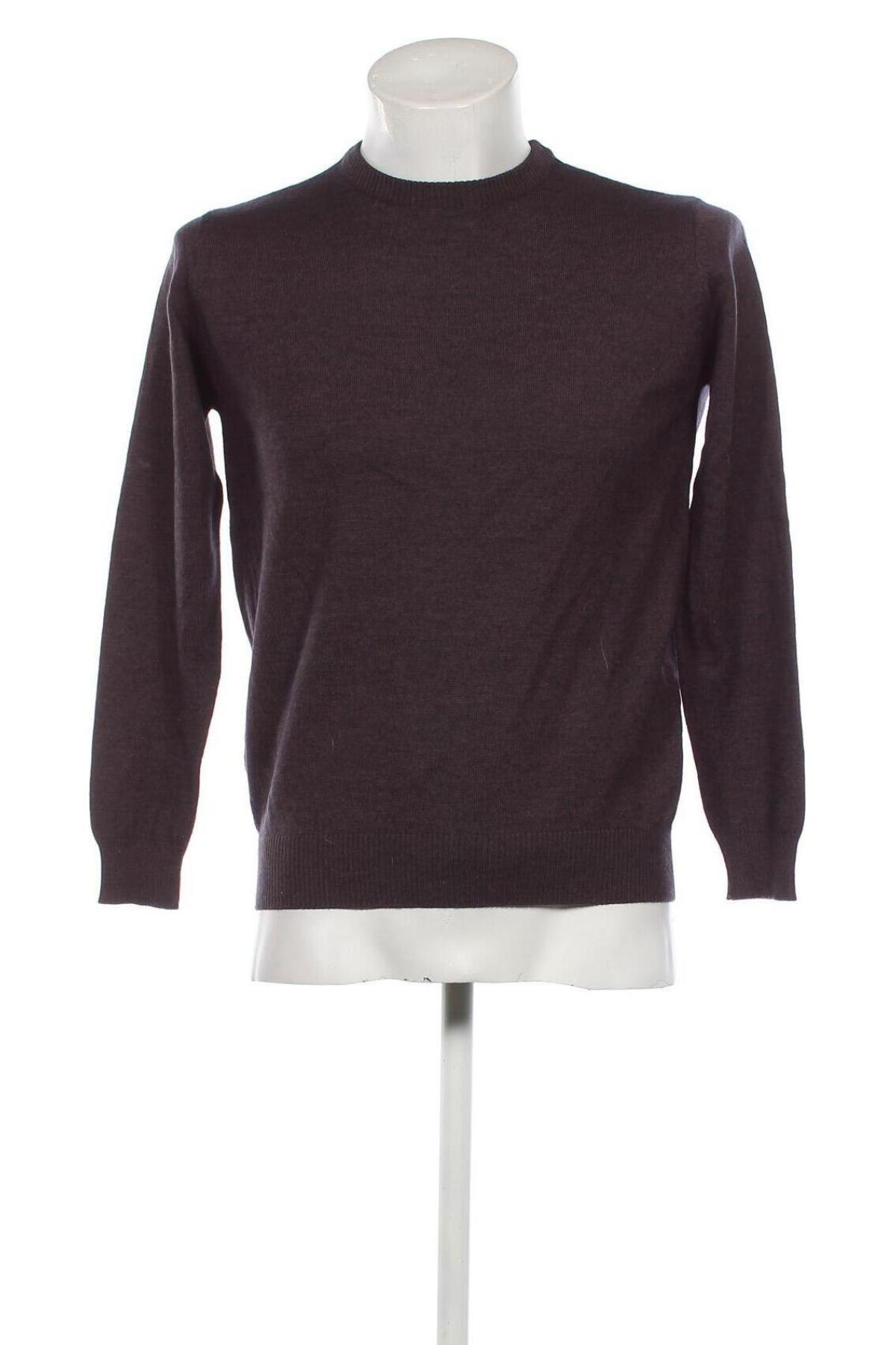 Ανδρικό πουλόβερ, Μέγεθος M, Χρώμα Βιολετί, Τιμή 9,69 €