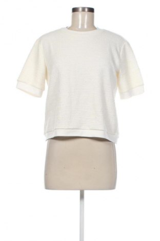 Damen Shirt Jake*s, Größe M, Farbe Ecru, Preis 37,99 €