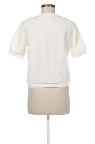 Damen Shirt Jake*s, Größe M, Farbe Ecru, Preis 37,99 €