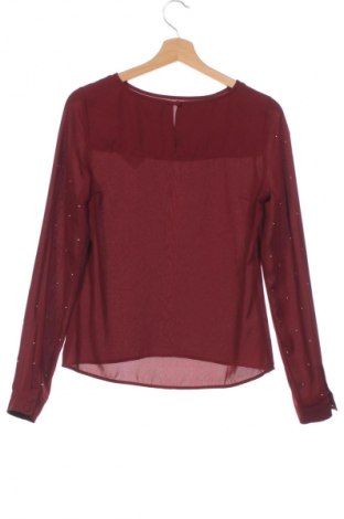 Damen Shirt Mint & Berry, Größe XS, Farbe Rot, Preis 8,05 €