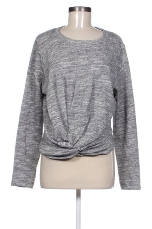 Damen Shirt Seed, Größe L, Farbe Grau, Preis 14,99 €