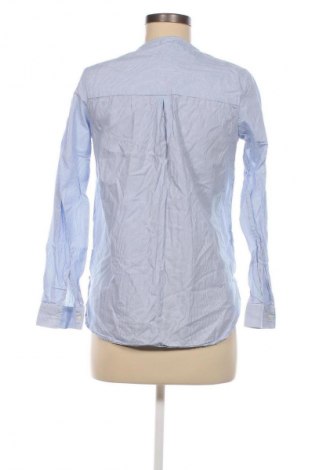 Bluzka damska Tex, Rozmiar S, Kolor Kolorowy, Cena 24,99 zł
