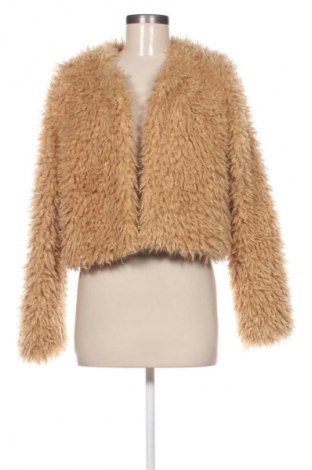 Damen Strickjacke Colloseum, Größe L, Farbe Beige, Preis € 3,99