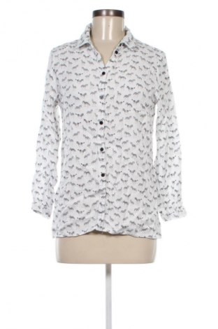 Damenbluse Esqualo, Größe L, Farbe Mehrfarbig, Preis € 14,99