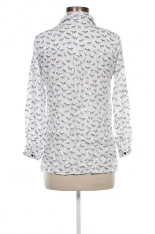 Damenbluse Esqualo, Größe L, Farbe Mehrfarbig, Preis € 14,99