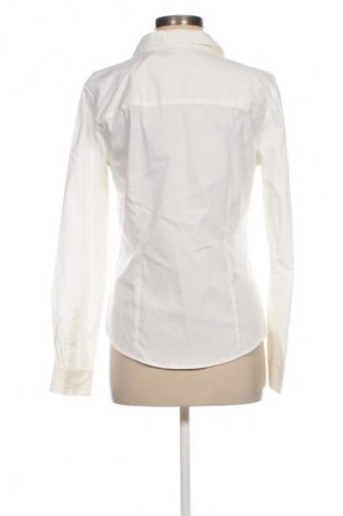 Damska koszula H&M, Rozmiar L, Kolor ecru, Cena 91,92 zł