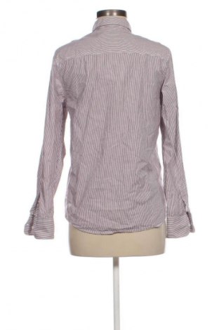 Damenbluse Tom Tailor, Größe L, Farbe Mehrfarbig, Preis € 11,99