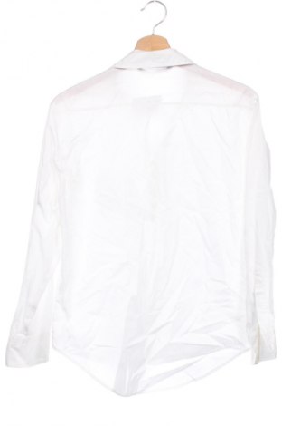 Damenbluse Zara, Größe XS, Farbe Weiß, Preis 13,84 €