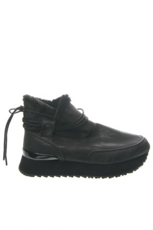 Damen Stiefeletten U.S. Polo Assn., Größe 38, Farbe Schwarz, Preis € 111,48