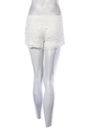 Damen Shorts Parisian Collection, Größe S, Farbe Ecru, Preis € 9,72