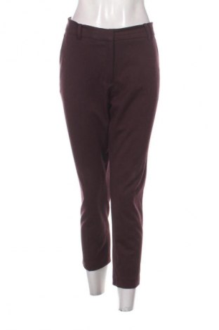 Damenhose H&M, Größe L, Farbe Mehrfarbig, Preis 6,99 €