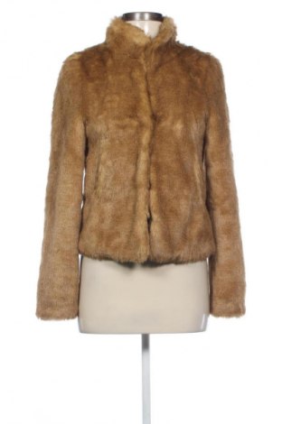 Damenjacke H&M, Größe S, Farbe Beige, Preis € 14,99