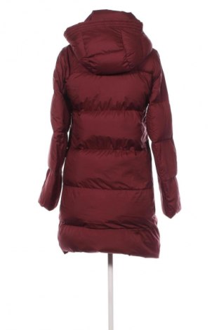Dámská bunda  Tommy Hilfiger, Velikost XS, Barva Červená, Cena  6 699,00 Kč
