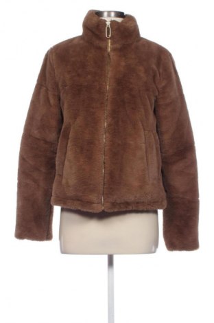 Damenjacke Zara, Größe S, Farbe Braun, Preis € 14,99