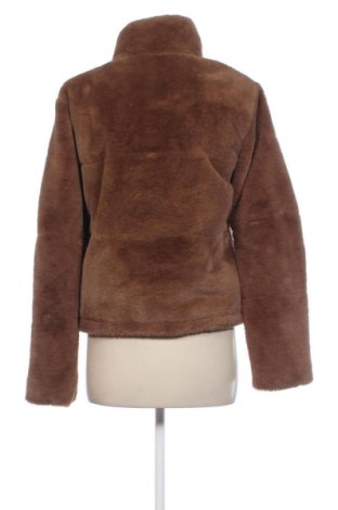Damenjacke Zara, Größe S, Farbe Braun, Preis € 14,99