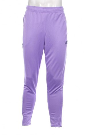 Ανδρικό αθλητικό παντελόνι Adidas, Μέγεθος L, Χρώμα Βιολετί, Τιμή 24,55 €