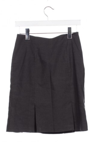 Φούστα H&M, Μέγεθος XS, Χρώμα Γκρί, Τιμή 5,99 €