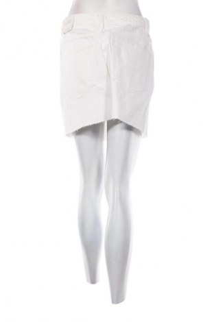 Rock Zara, Größe L, Farbe Weiß, Preis € 15,99