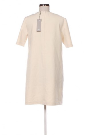 Kleid Jake*s, Größe M, Farbe Beige, Preis € 75,99