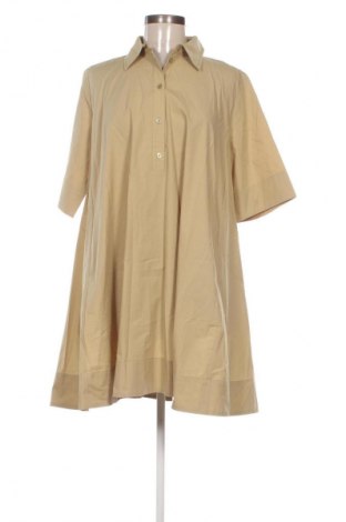 Kleid Jake*s, Größe M, Farbe Grün, Preis 49,99 €